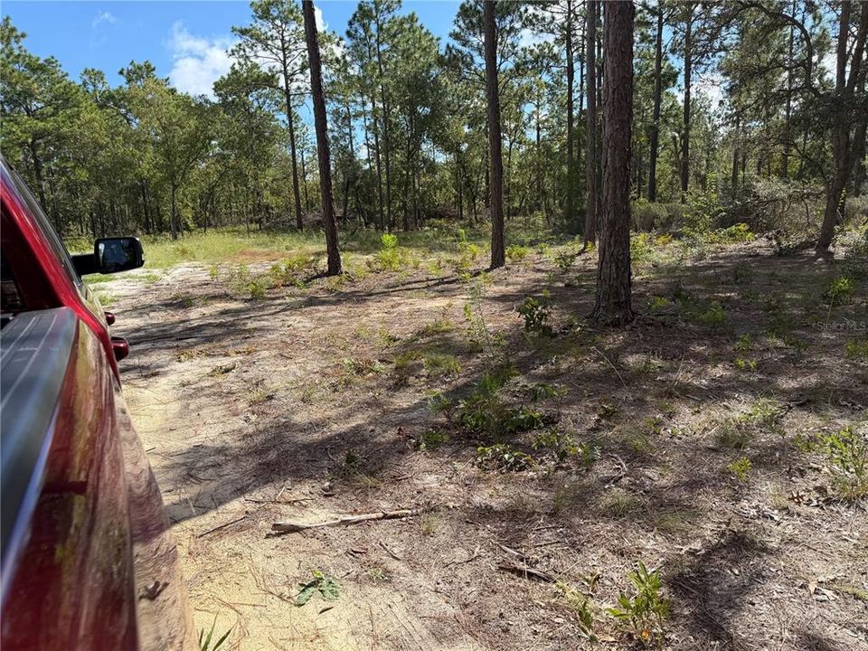 待售: $159,900 (5.00 acres)