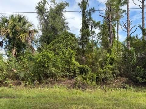 For Sale: $24,000 (0.23 acres)