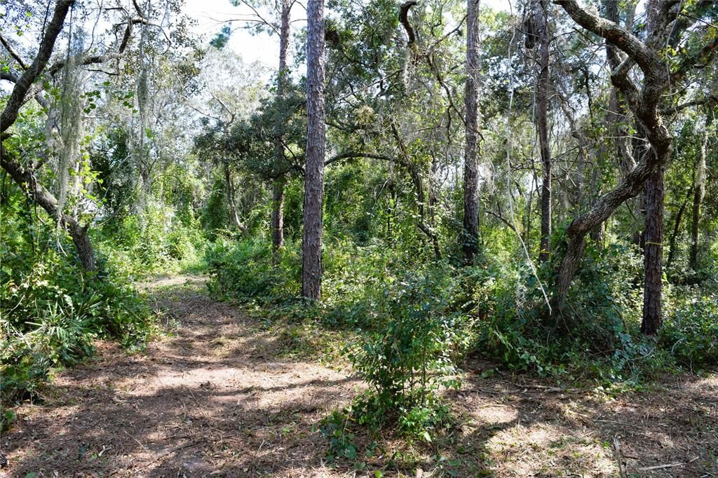 For Sale: $229,000 (3.18 acres)