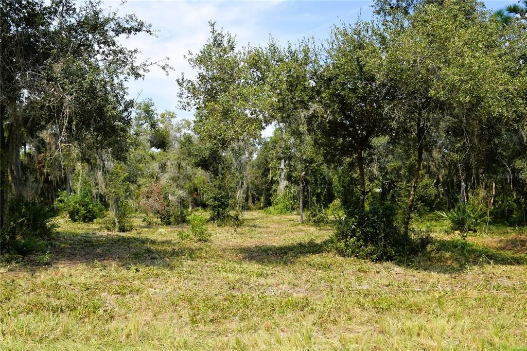 For Sale: $229,000 (3.18 acres)