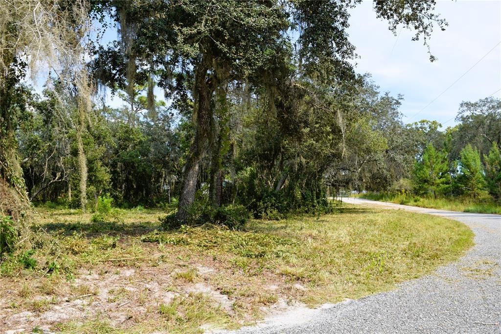 For Sale: $229,000 (3.18 acres)