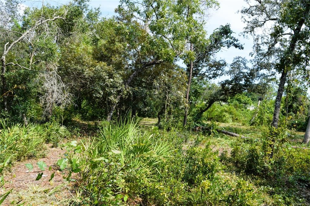 For Sale: $229,000 (3.18 acres)