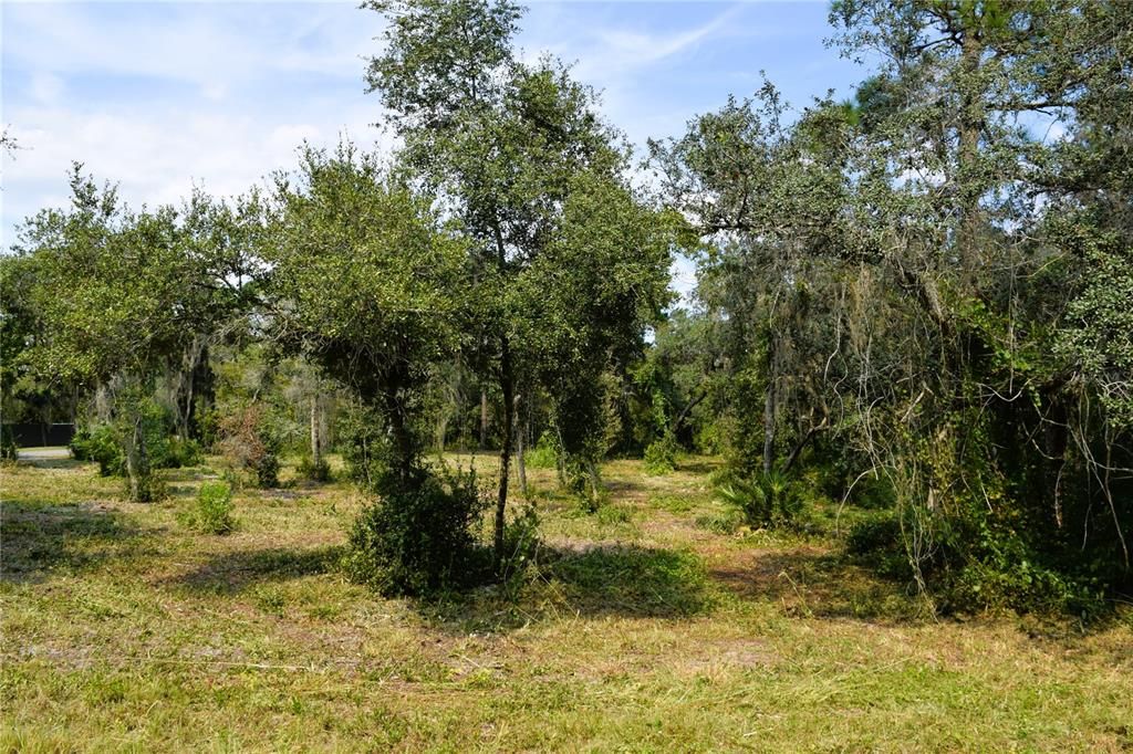 For Sale: $229,000 (3.18 acres)