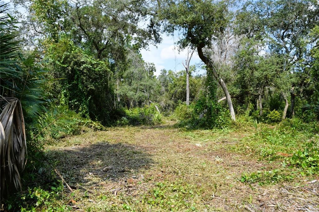 For Sale: $229,000 (3.18 acres)