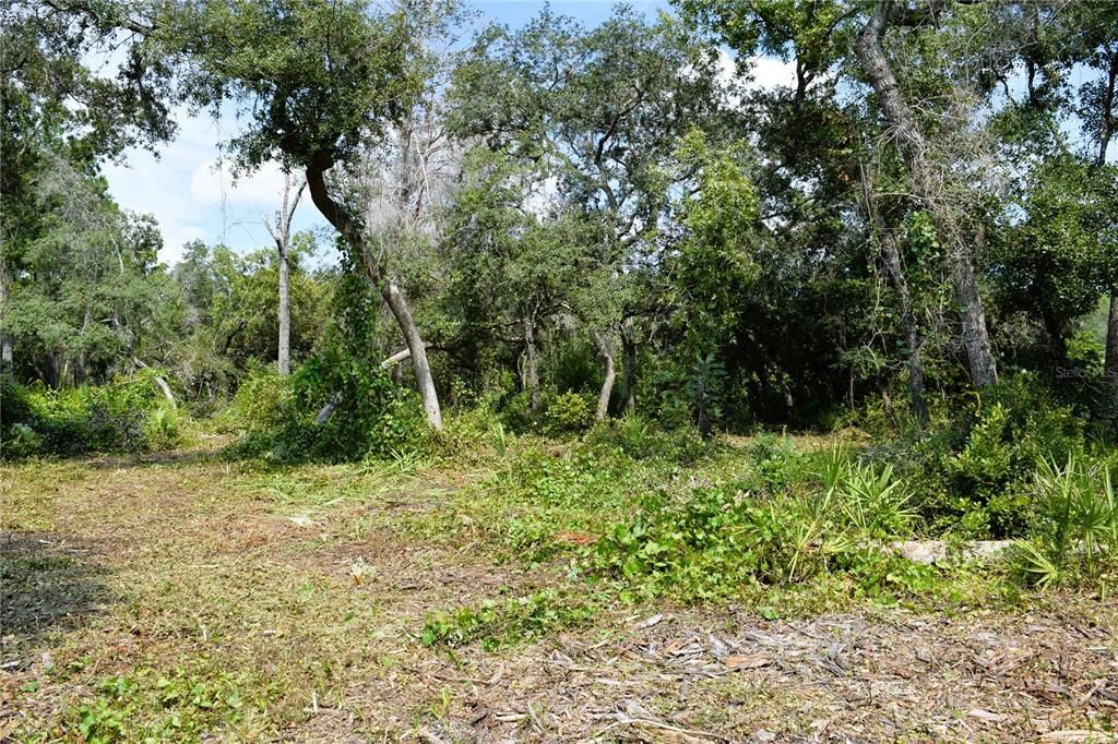 For Sale: $229,000 (3.18 acres)