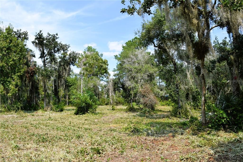 For Sale: $229,000 (3.18 acres)