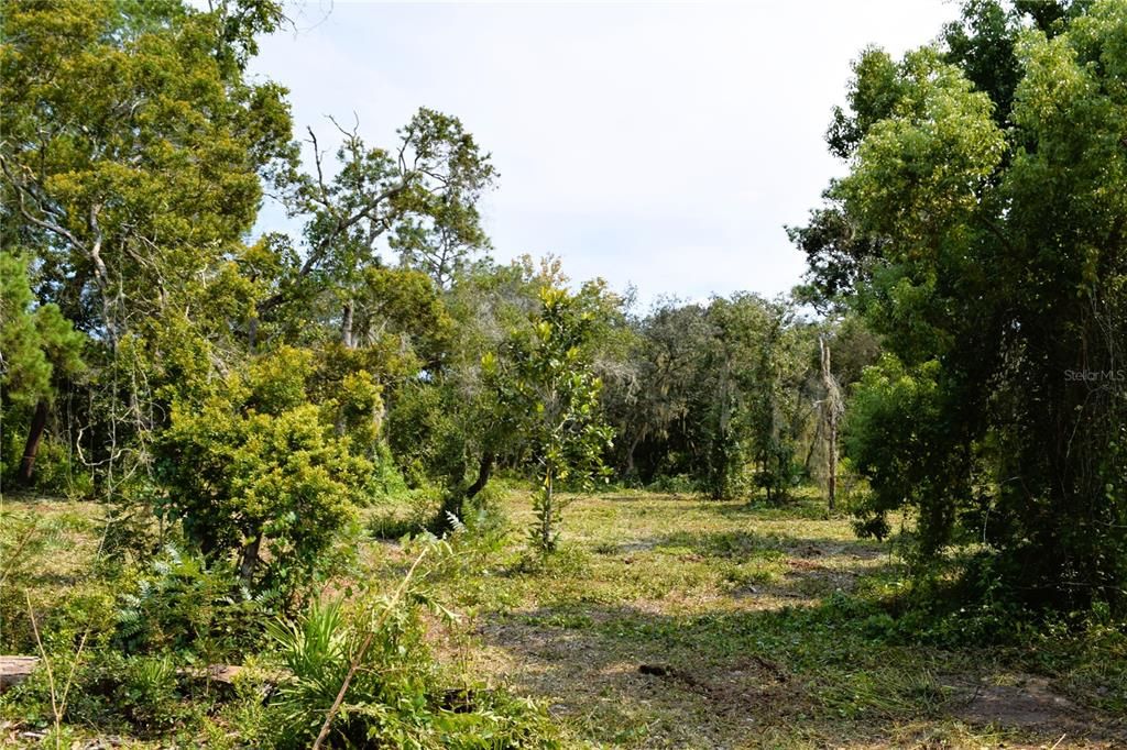 For Sale: $229,000 (3.18 acres)