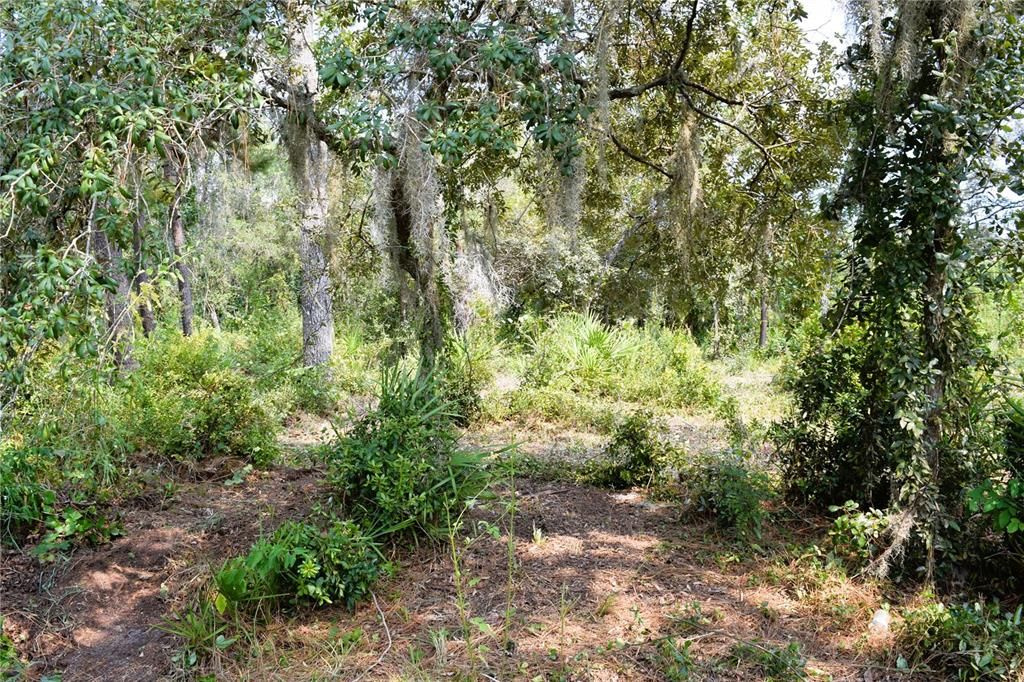 For Sale: $229,000 (3.18 acres)