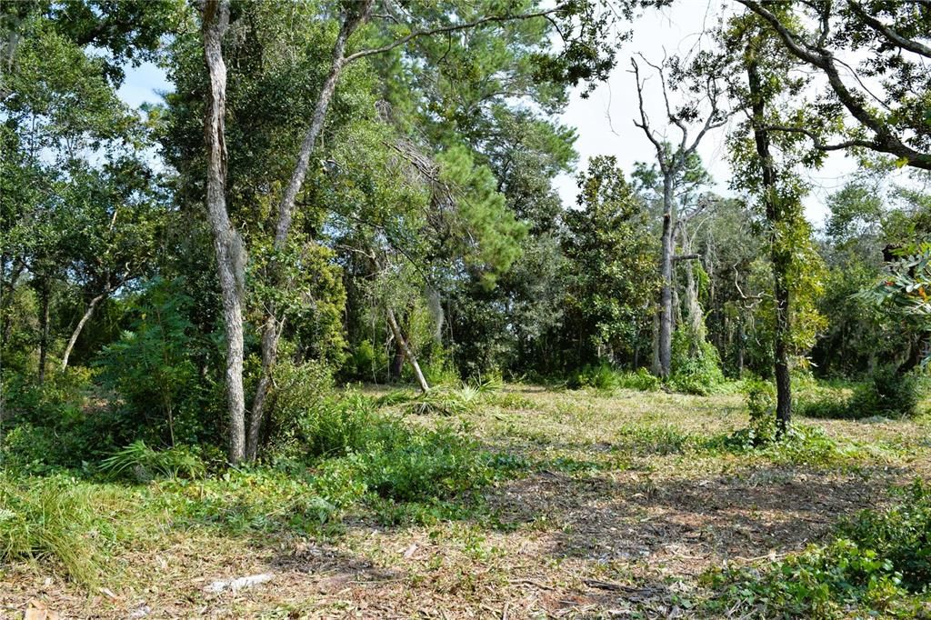 For Sale: $229,000 (3.18 acres)