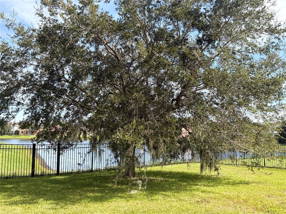 For Rent: $2,680 (4 beds, 2 baths, 1956 Square Feet)