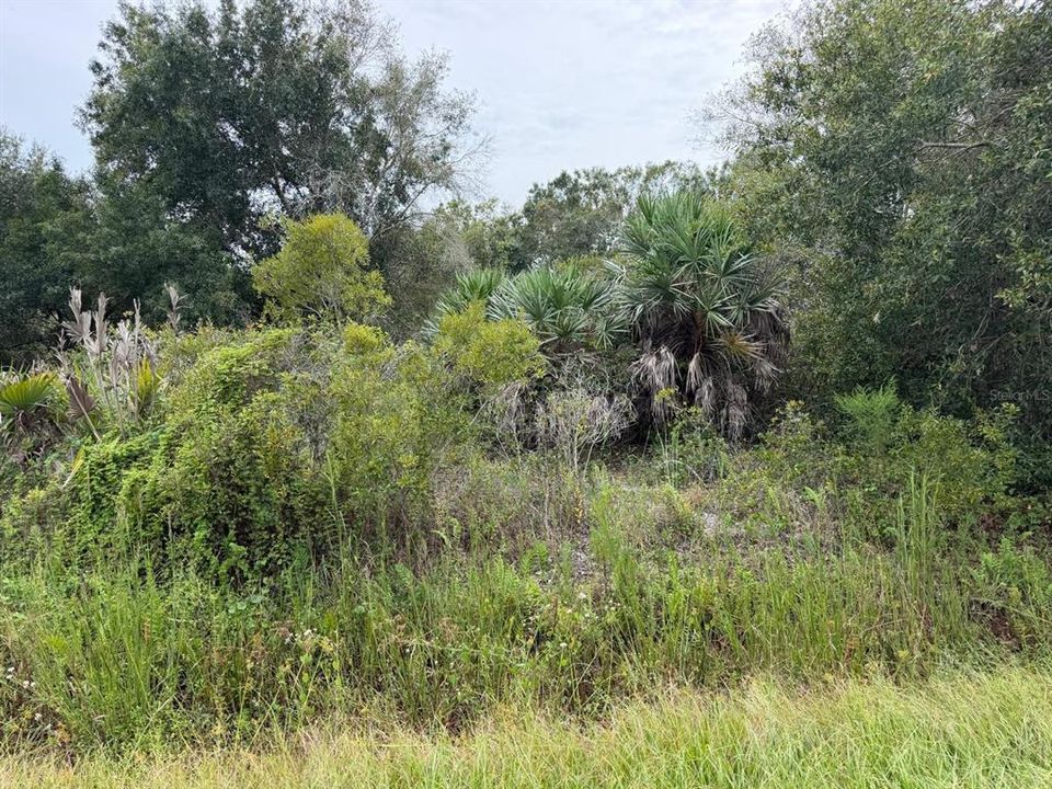 待售: $36,000 (1.25 acres)