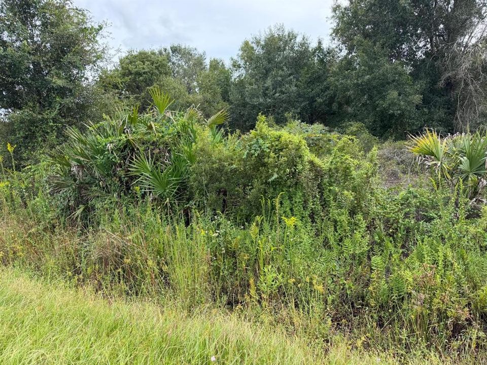 待售: $36,000 (1.25 acres)