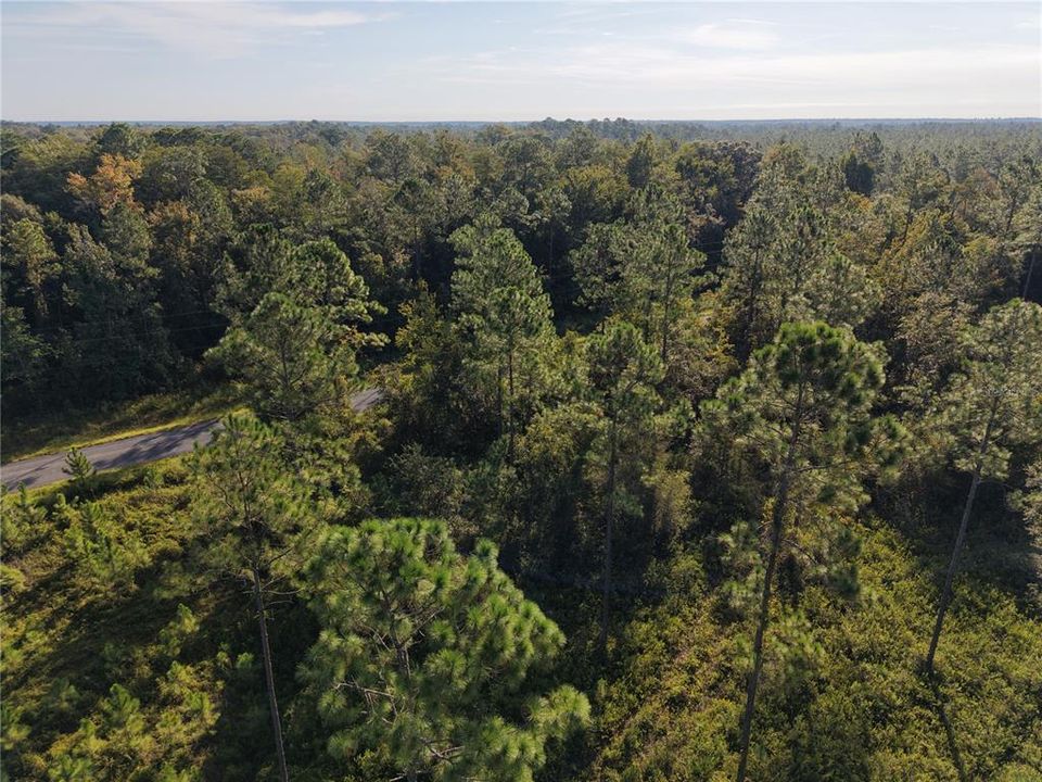 待售: $349,000 (49.52 acres)