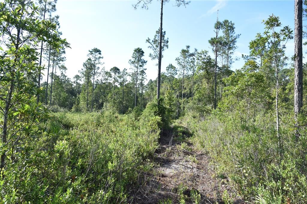 待售: $349,000 (49.52 acres)