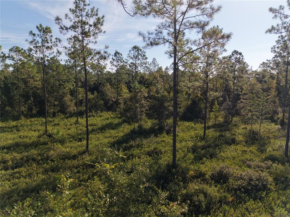 待售: $349,000 (49.52 acres)