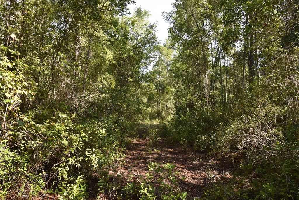 待售: $349,000 (49.52 acres)