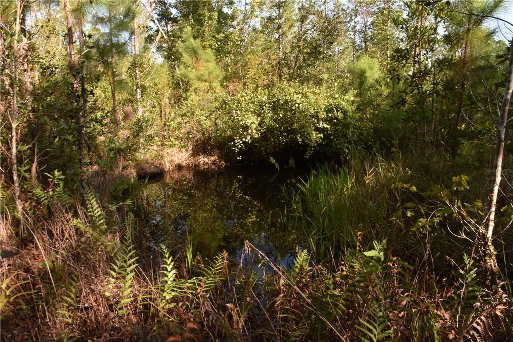 待售: $349,000 (49.52 acres)