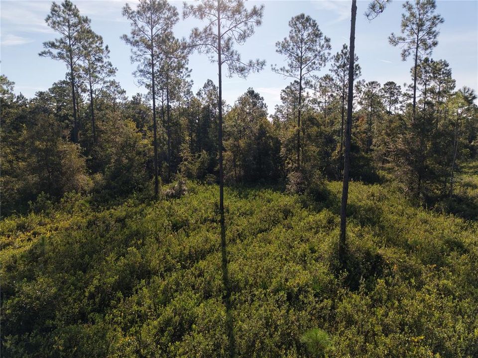待售: $349,000 (49.52 acres)