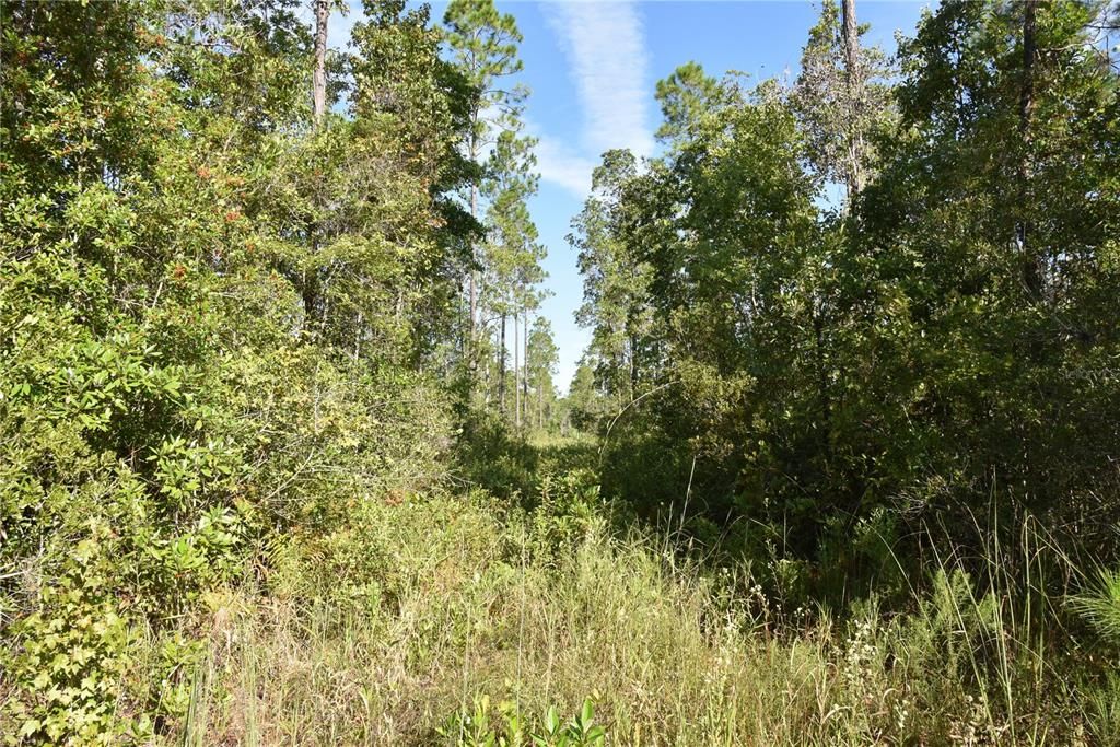 待售: $349,000 (49.52 acres)