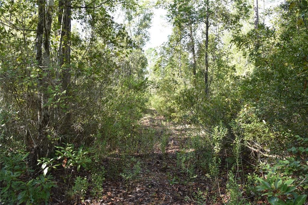 待售: $349,000 (49.52 acres)