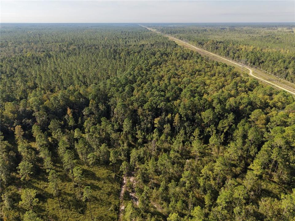 待售: $349,000 (49.52 acres)