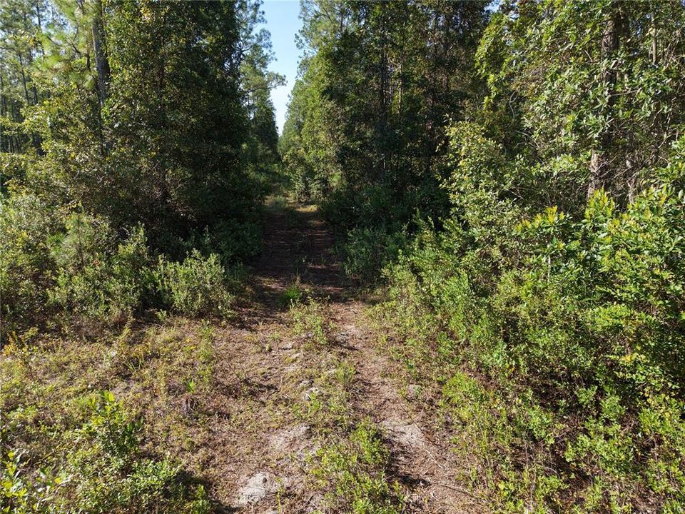 待售: $349,000 (49.52 acres)