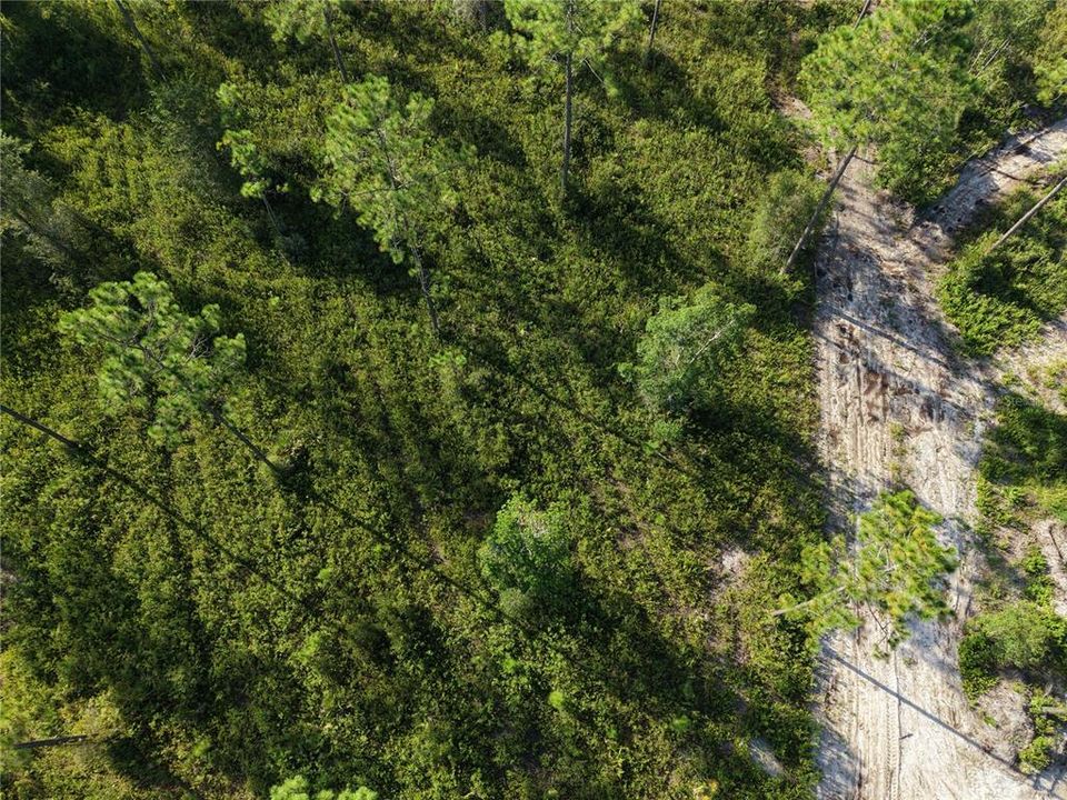 待售: $349,000 (49.52 acres)