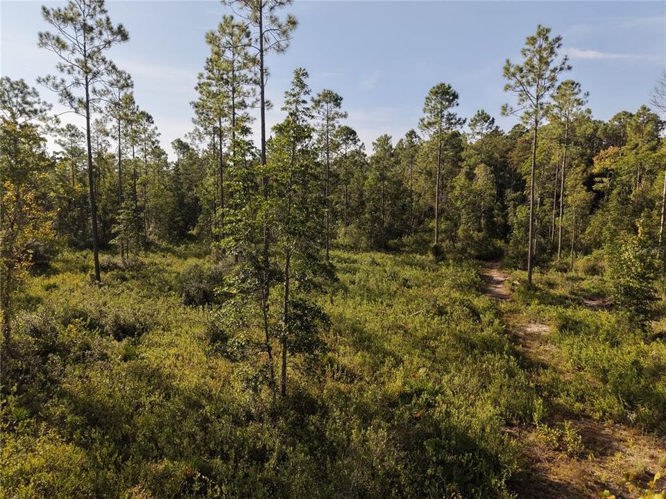 待售: $349,000 (49.52 acres)