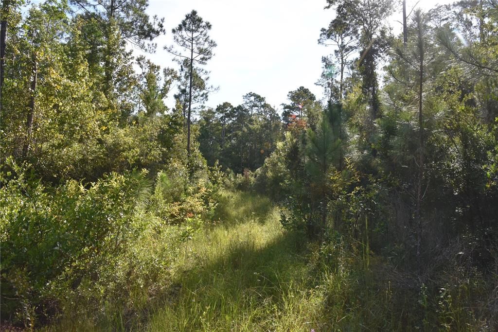 待售: $349,000 (49.52 acres)