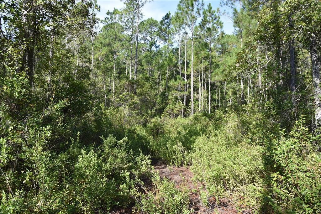 待售: $349,000 (49.52 acres)