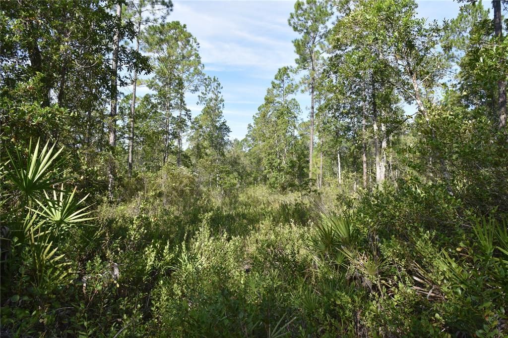 待售: $349,000 (49.52 acres)