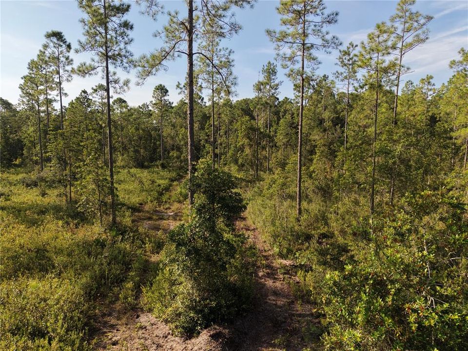 待售: $349,000 (49.52 acres)