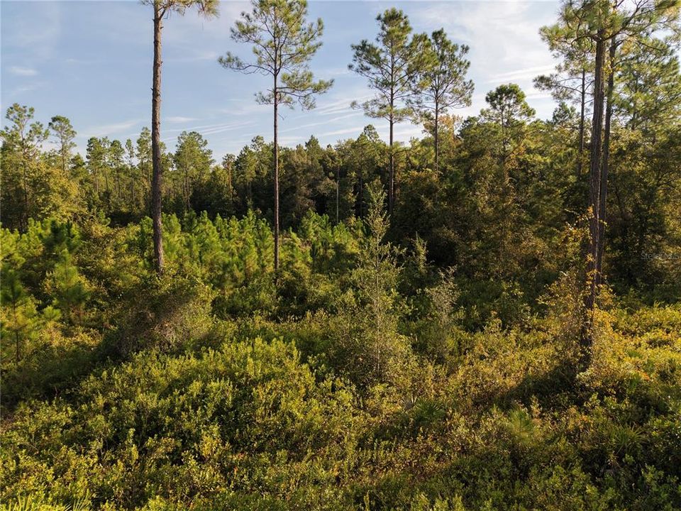 待售: $349,000 (49.52 acres)