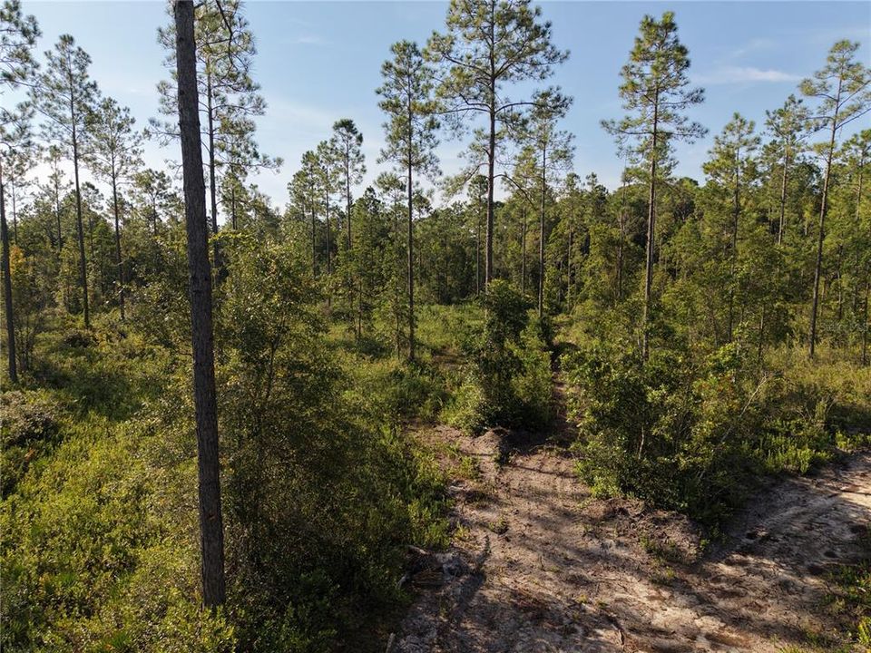 待售: $349,000 (49.52 acres)