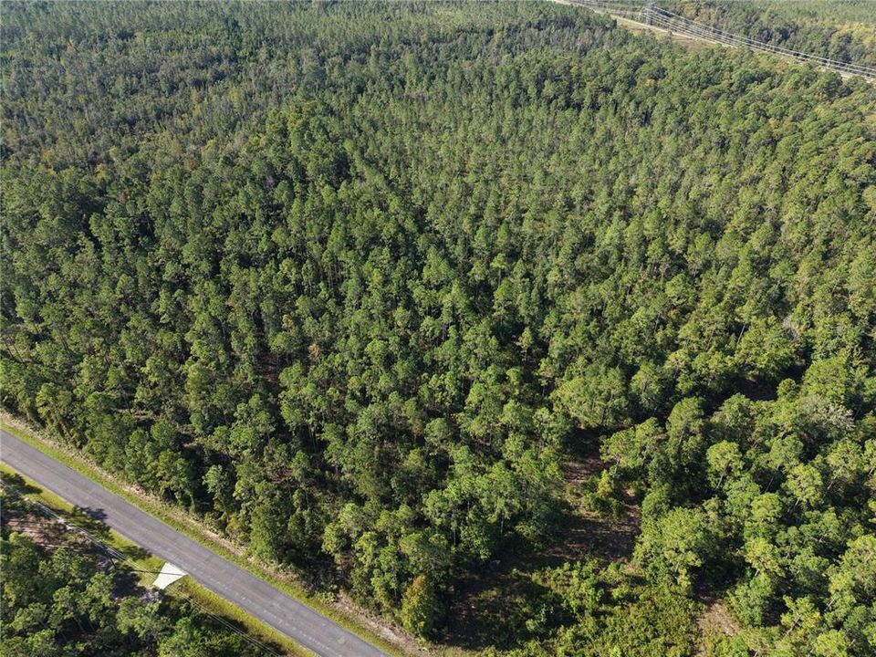 待售: $349,000 (49.52 acres)