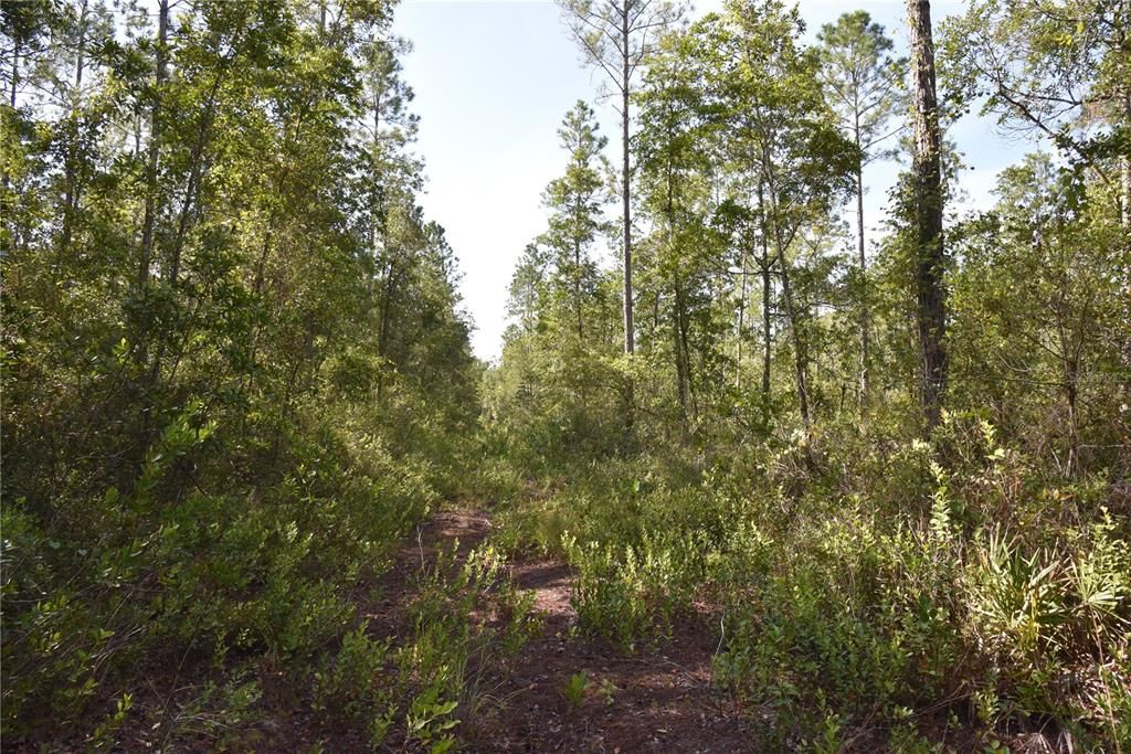 待售: $349,000 (49.52 acres)