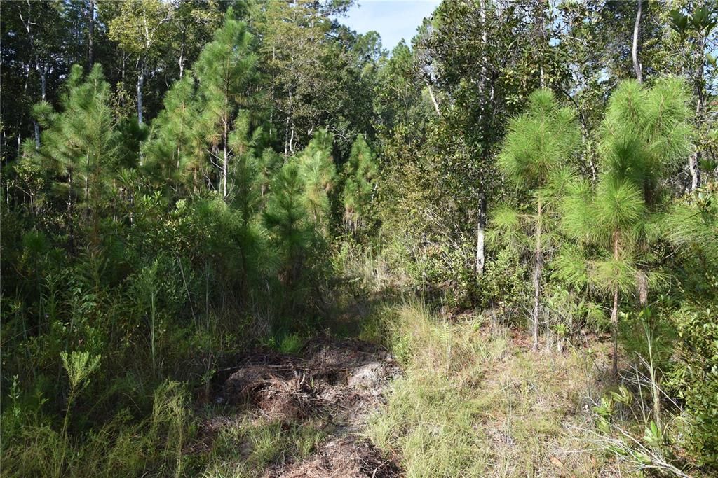 待售: $349,000 (49.52 acres)