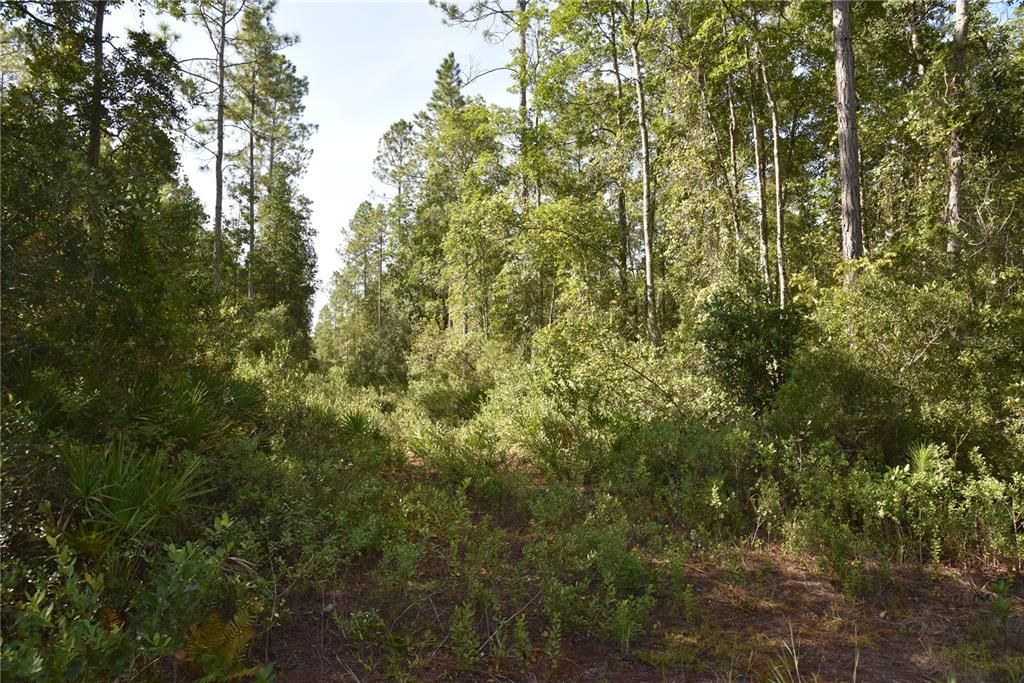 待售: $349,000 (49.52 acres)