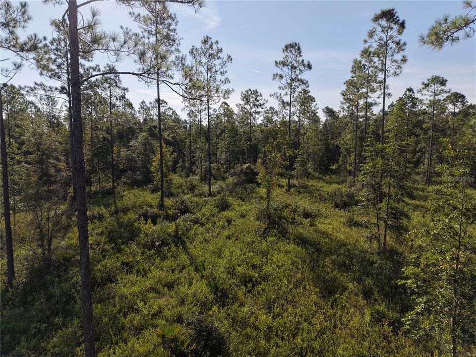 待售: $349,000 (49.52 acres)