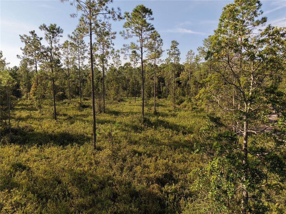 待售: $349,000 (49.52 acres)