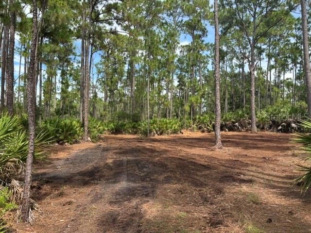 На продажу: $299,900 (3.01 acres)