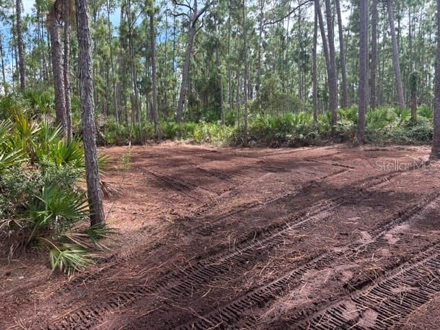 На продажу: $299,900 (3.01 acres)