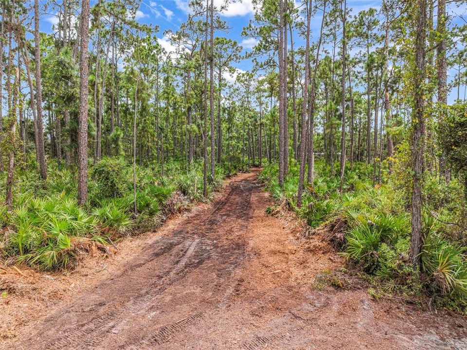 На продажу: $299,900 (3.01 acres)