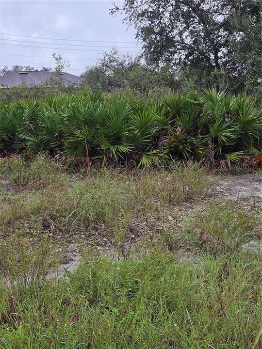 待售: $25,000 (0.25 acres)