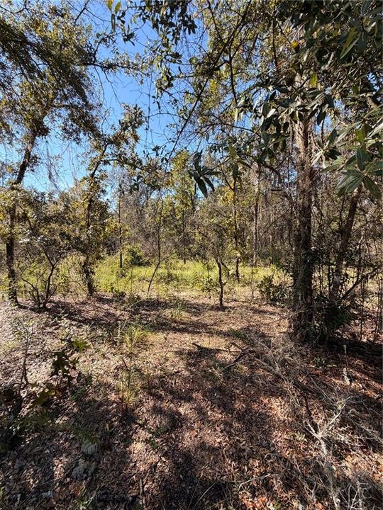 待售: $39,999 (2.04 acres)