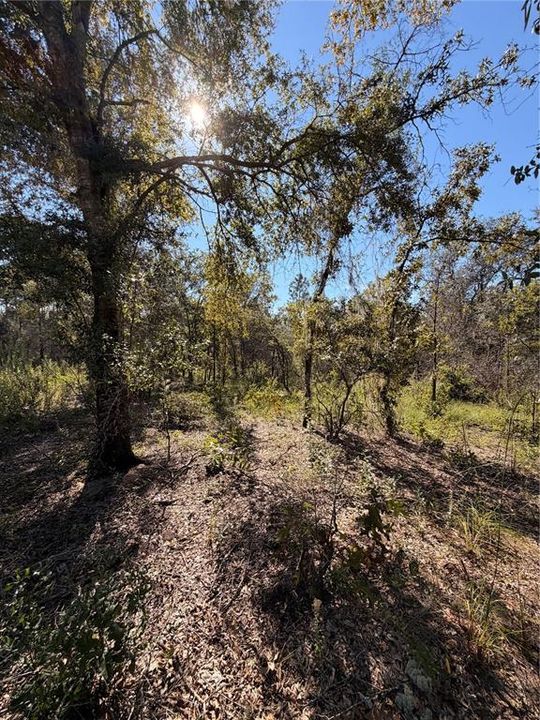 待售: $39,999 (2.04 acres)