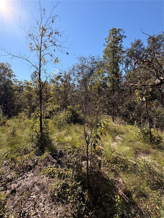 待售: $39,999 (2.04 acres)