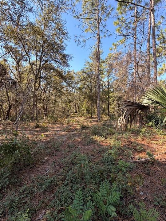待售: $39,999 (2.04 acres)