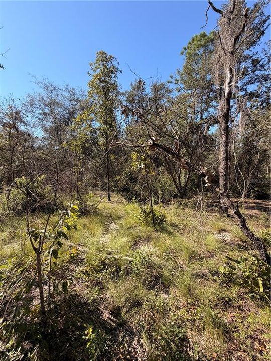 待售: $39,999 (2.04 acres)