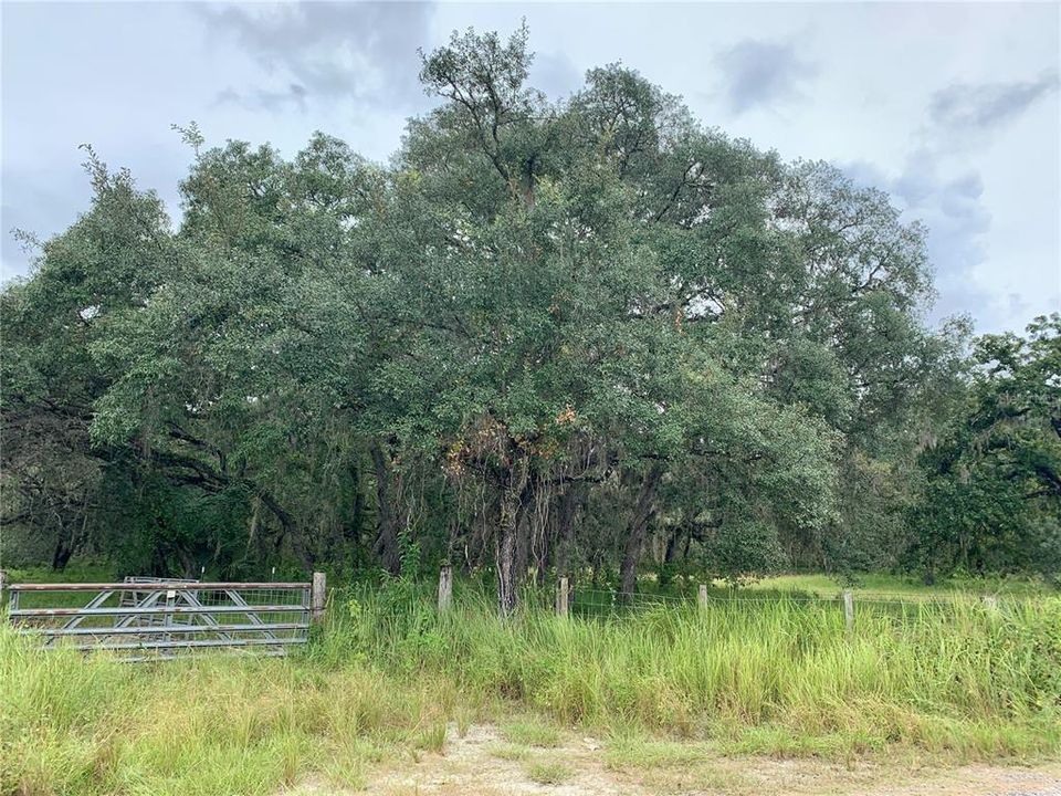 For Sale: $1,295,000 (56.58 acres)